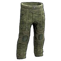 Forest Raiders Pants image